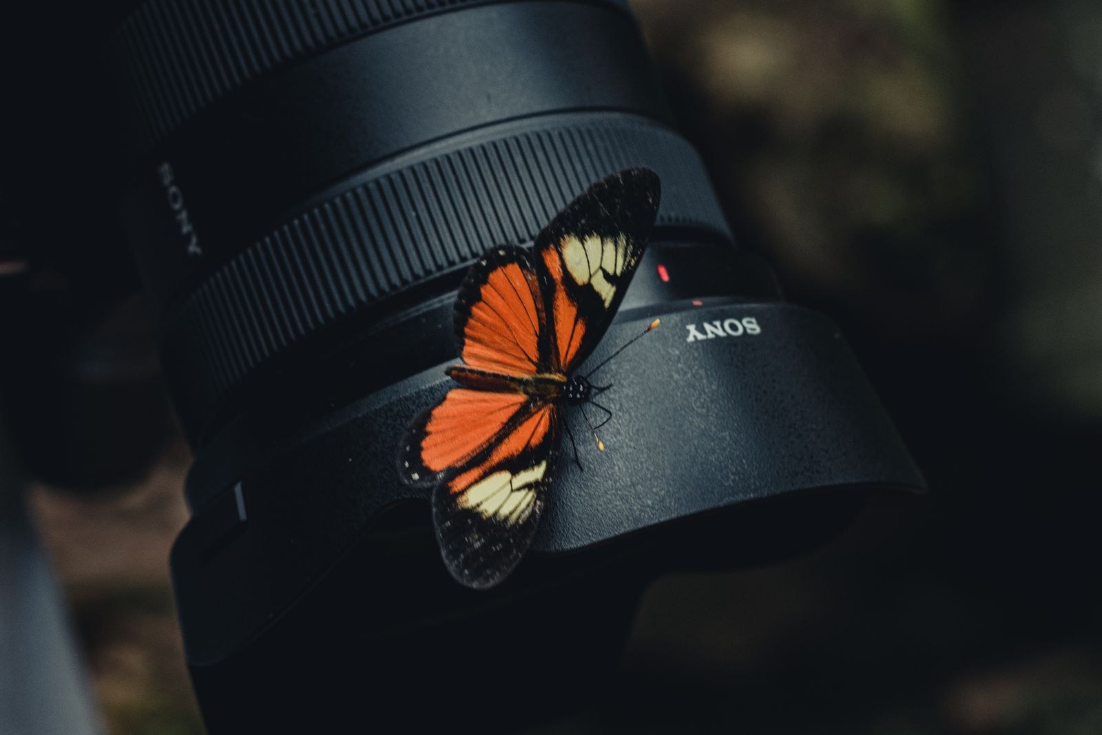 Macro shot of a camera lens